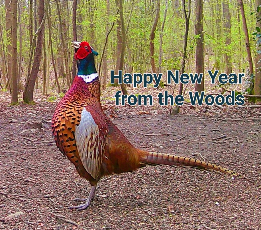 Happy New Year&nbsp;2025